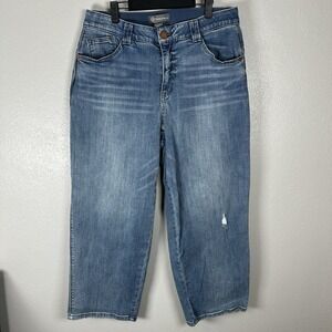 Democracy Jeans Womens 16W AB Technology Blue Wide Leg Medium Wash Stretch